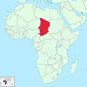 En Chad, ganado sin medicamentos ni vacunas
