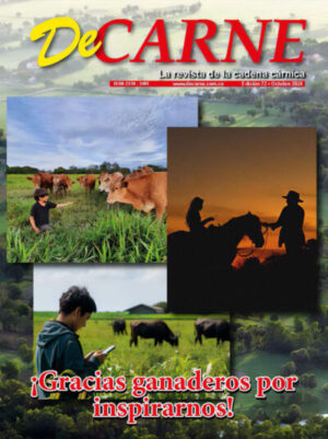 De Carne 72