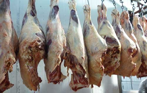Argumentos para no frenar las exportaciones de carne y ganado en pie