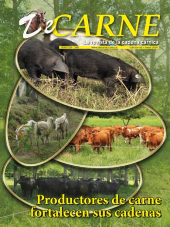 De Carne 82